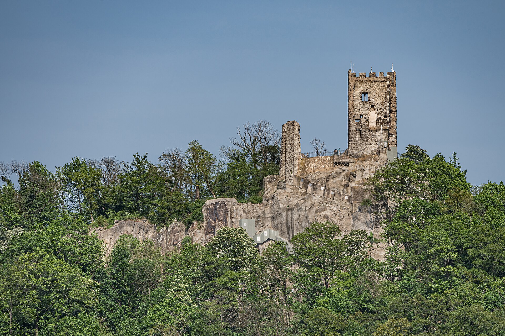 Burg Drachenfels (Siebengebirge)