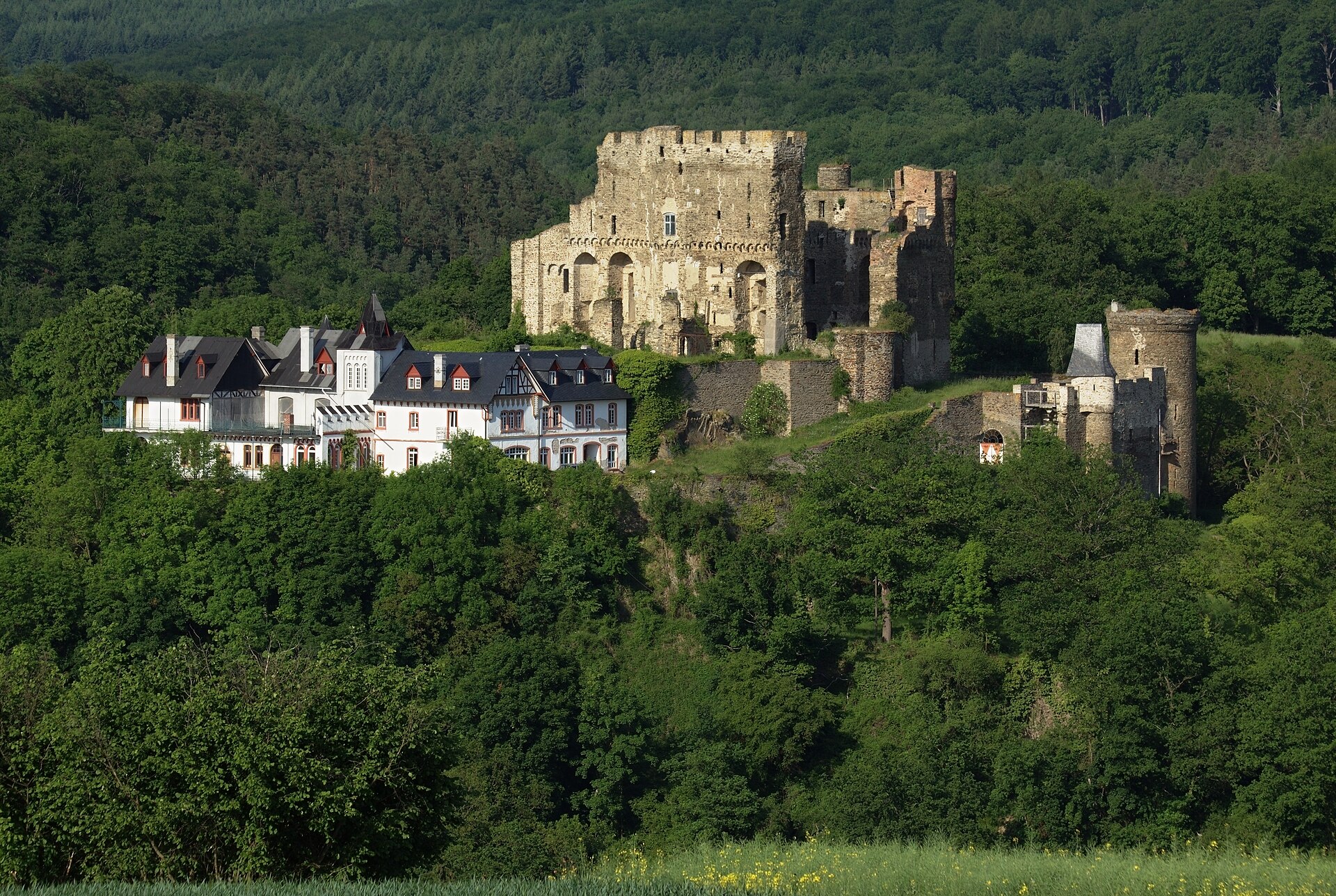 Burg Reichenberg