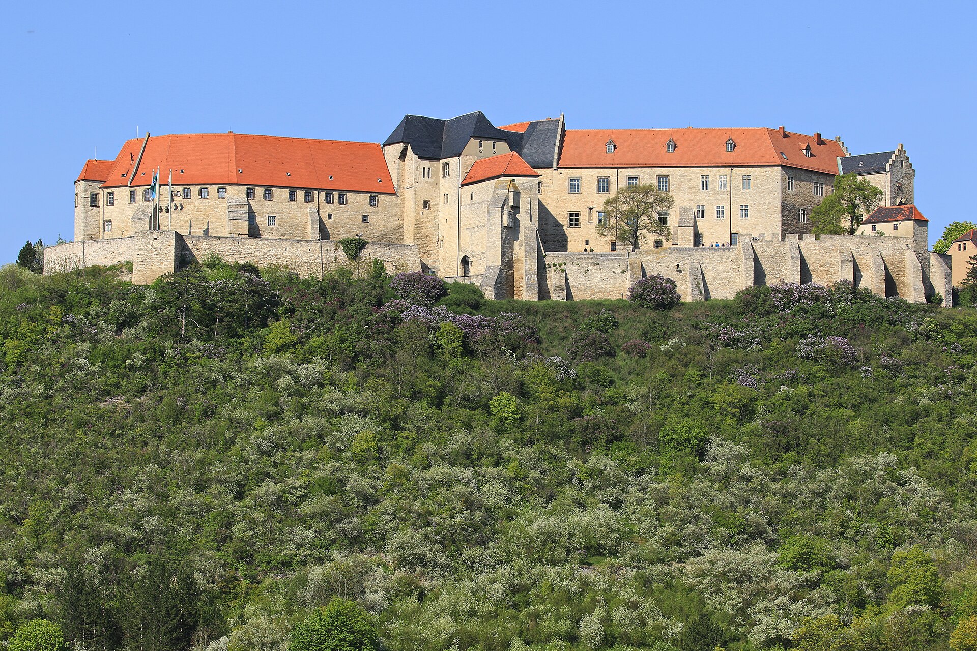 Schloss Neuenburg (Freyburg)